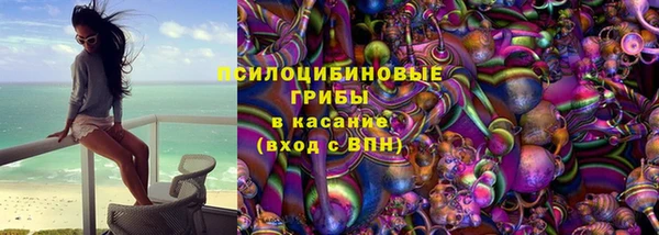 крисы Алексин