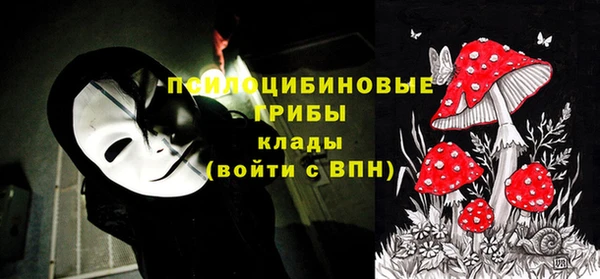 МДПВ Абаза