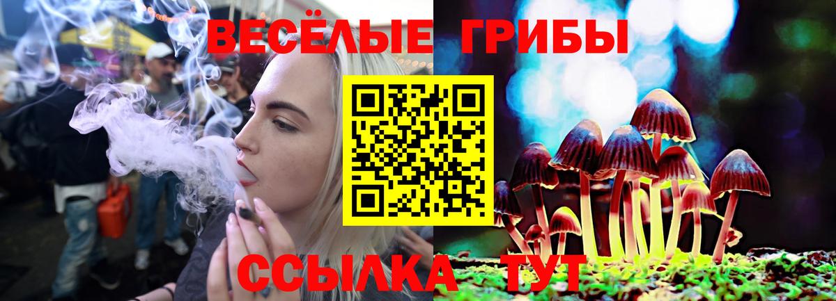 Псилоцибиновые грибы мицелий Десногорск
