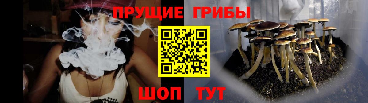 Десногорск  Галлюциногенные грибы прущие грибы  Вход с VPN  Псилоцибиновые грибы мицелий 